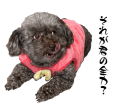 791049374