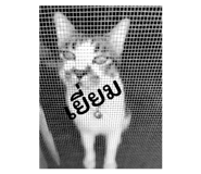 791057694