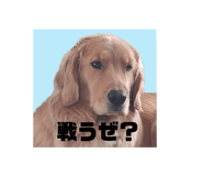 791093234