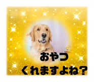 791093236