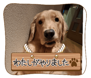 791093239