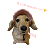 791100449