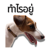 791115232