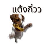 791115234