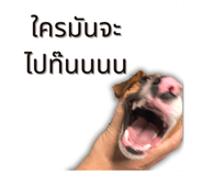 791115239