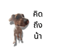 791115244