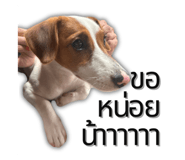 791115247