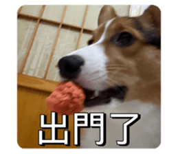 791121091