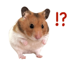 791130463