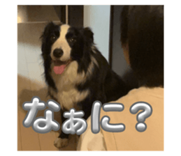 791134046