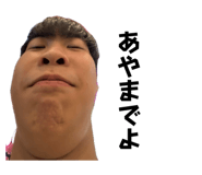 791177504