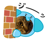 791182282