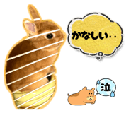 791184205