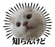 791191785