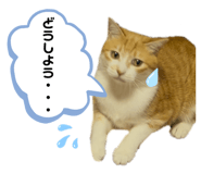 791208723