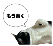 791208724
