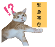 791208726