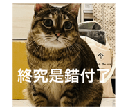 791234631