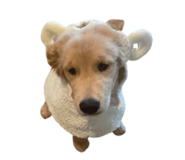 ลายที่ 1