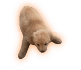 ลายที่ 23