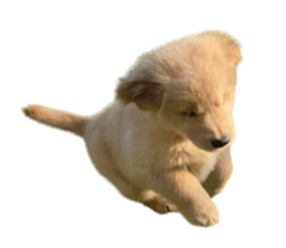 ลายที่ 35