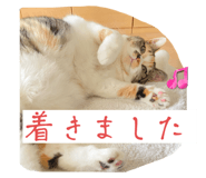 791266771