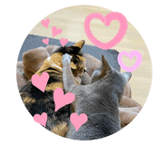 791266780