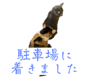 791266788