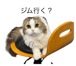 791299538