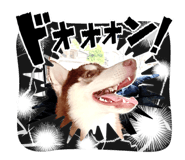 791330839