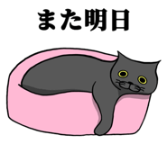 791333509