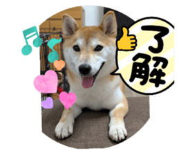 791333709