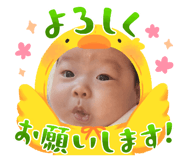 791340086