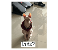 791343459