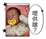 791397339