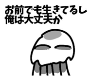 791444354
