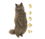 791486819