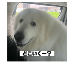 791492085