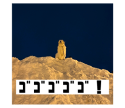 791492094