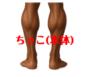 791492626