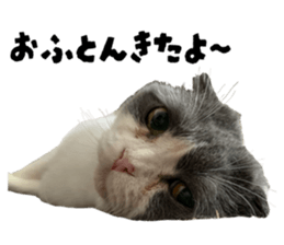 791501246