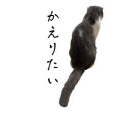 791501253