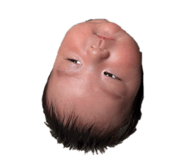 791555220