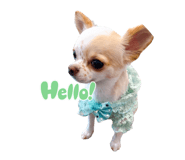 791555571