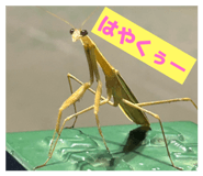791556192