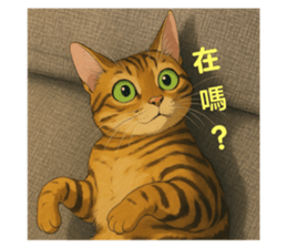 791561780