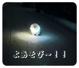791578627