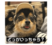 791586924