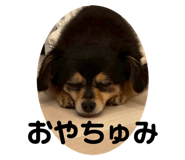 791586925