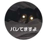791586928